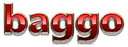 baggo logo